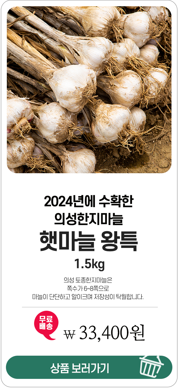2023년수확한 의성한지마늘 햇마늘왕특 1.5kg